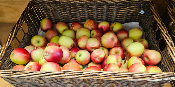 Sunrise (Canada) Apple (Spring 2027)