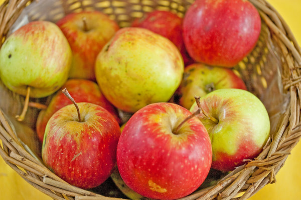 Swiss Gourmet (aka Arlet) Apple (Spring 2027)