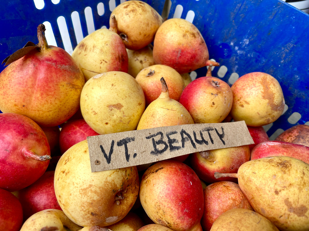 A labeled crate of freshly picked Vermont Beauty pear seedling fruit