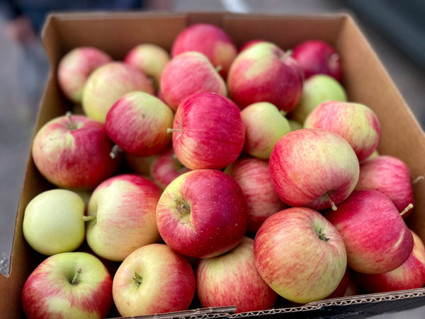 Wealthy Apple